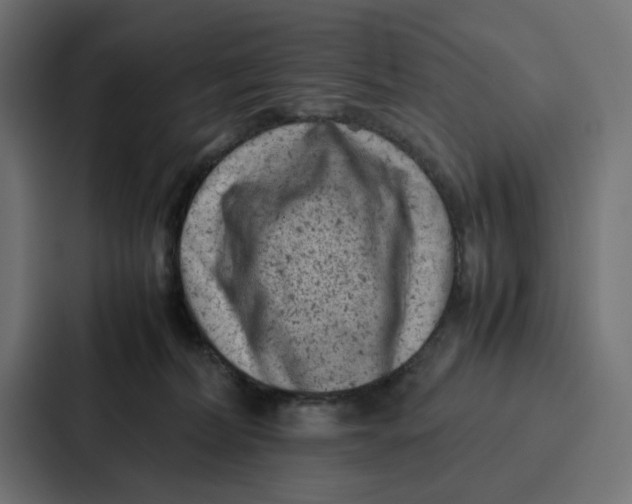 X0000087320228200705112143