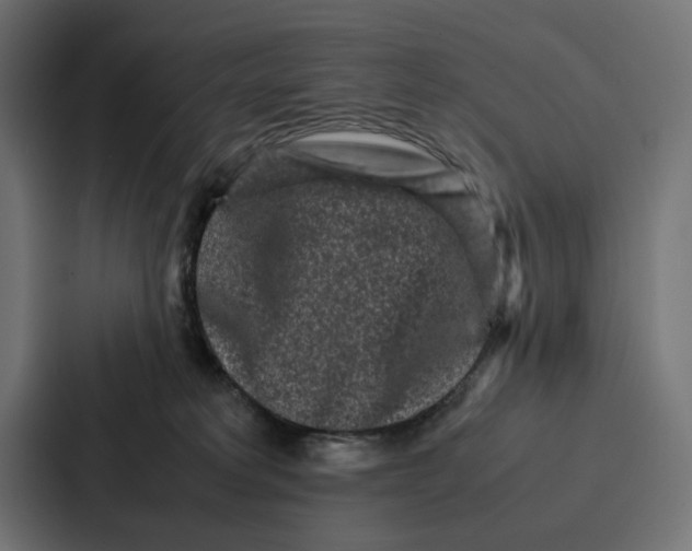 X0000087320229200705112143