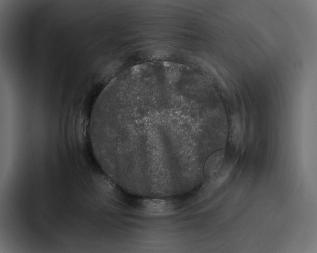 X0000087320230200705112143