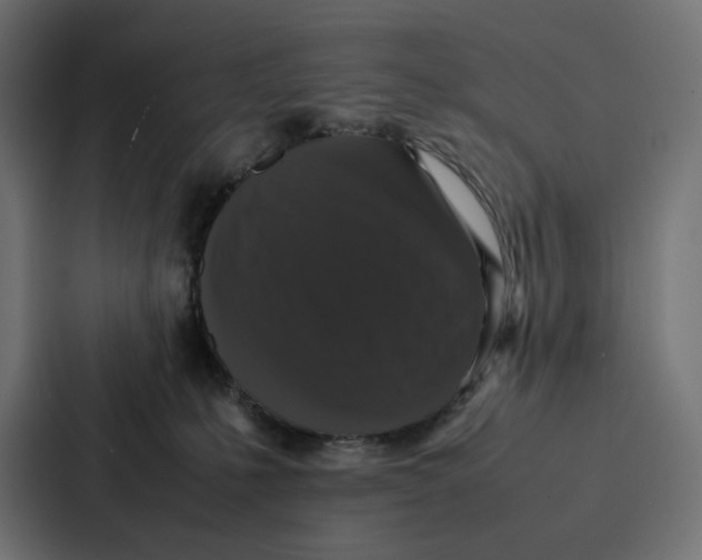 X0000087320231200705112143