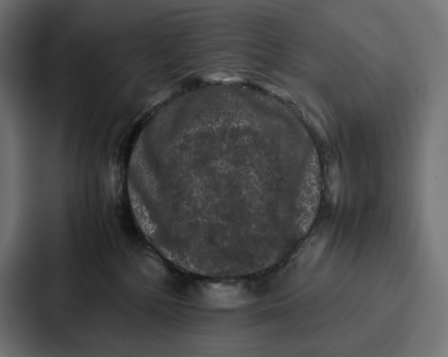 X0000087320232200705112143