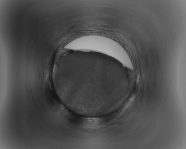 X0000087320233200705112143