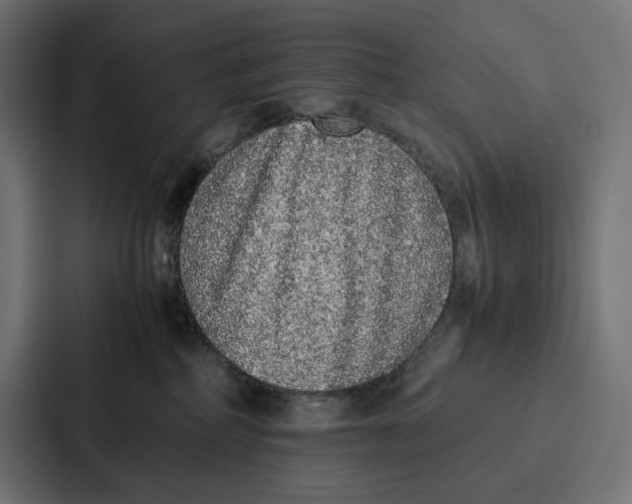 X0000087320234200705112143