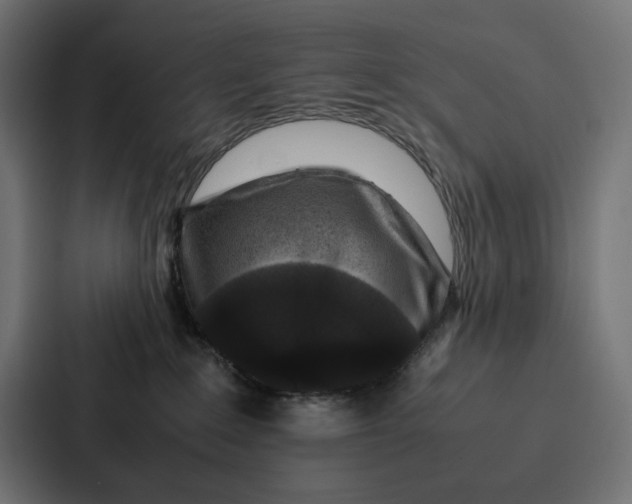 X0000087320235200705112143