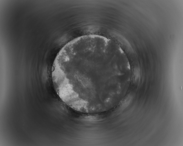 X0000087320236200705112143