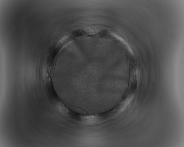 X0000087320237200705112143