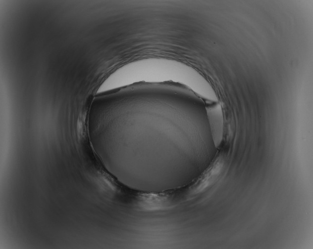 X0000087320239200705112143