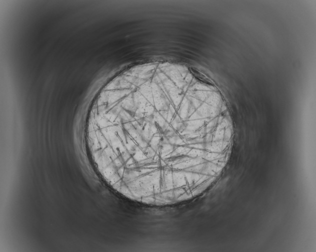 X0000087320241200705112142