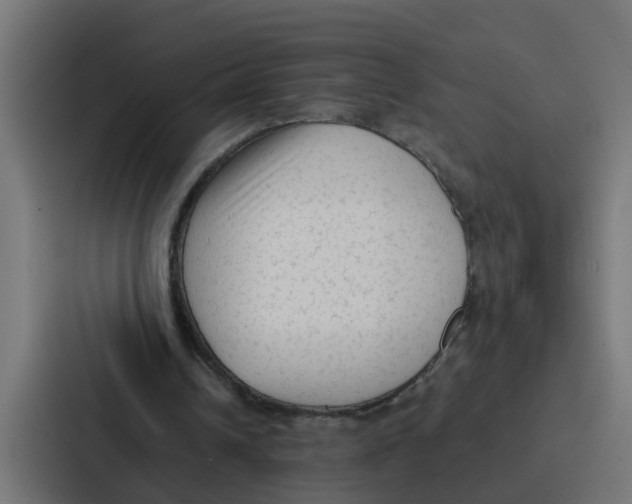 X0000087320242200705112142