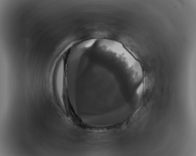 X0000087320243200705112142