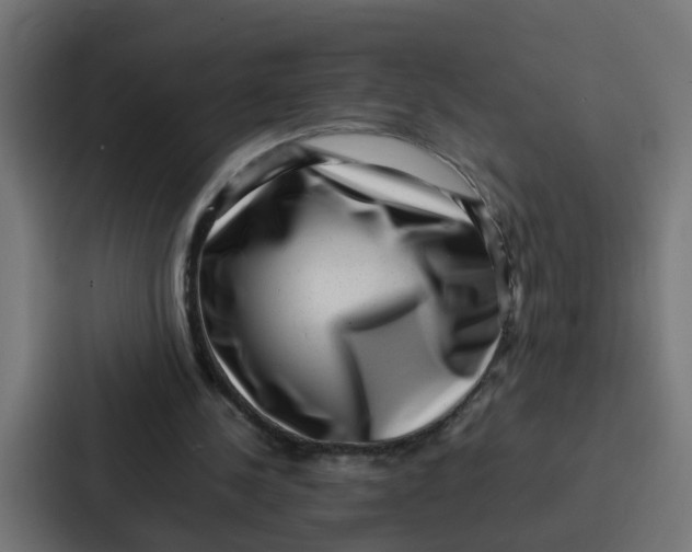 X0000087320244200705112142