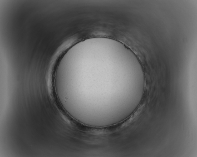 X0000087320245200705112142