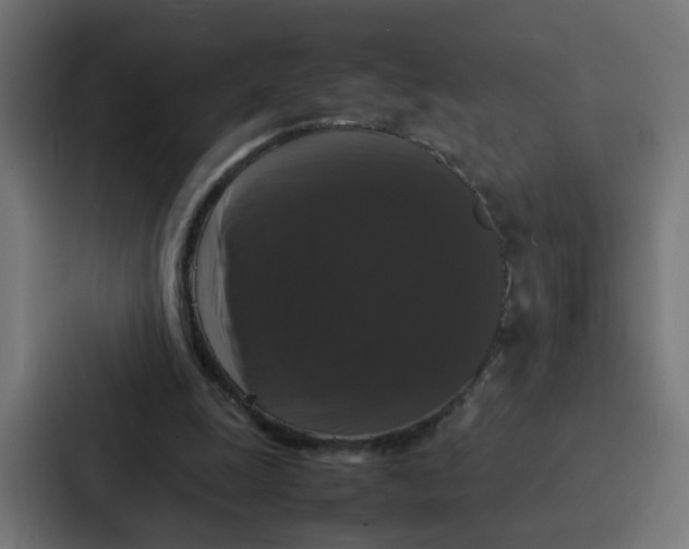 X0000087320247200705112142