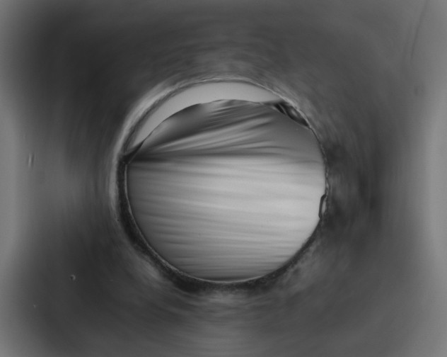 X0000087320248200705112142