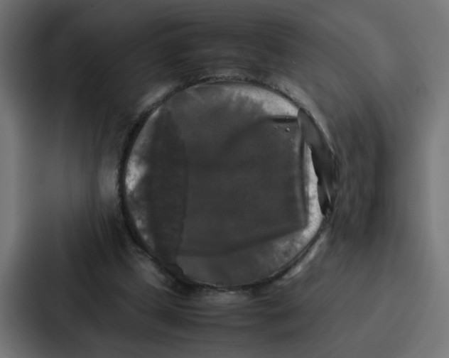 X0000087320249200705112142