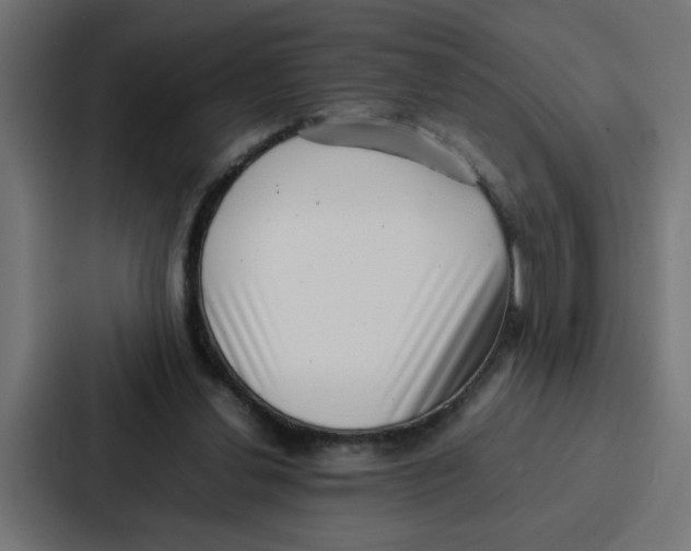 X0000087320252200705112142