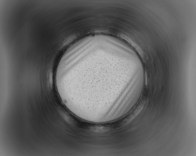 X0000087320253200705112142