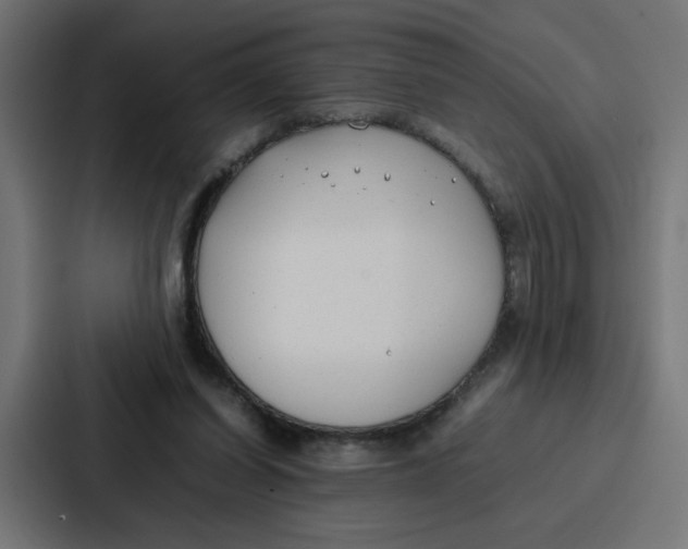 X0000087320254200705112143