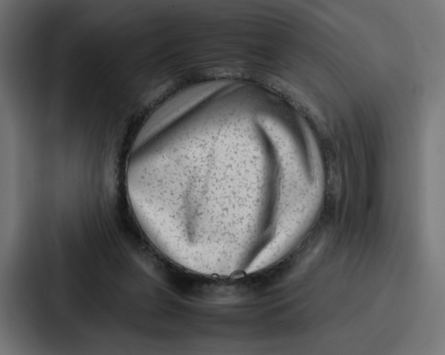 X0000087320255200705112143