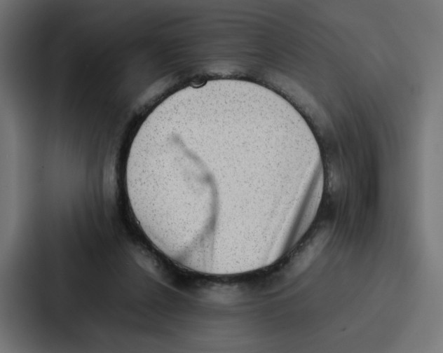 X0000087320256200705112143