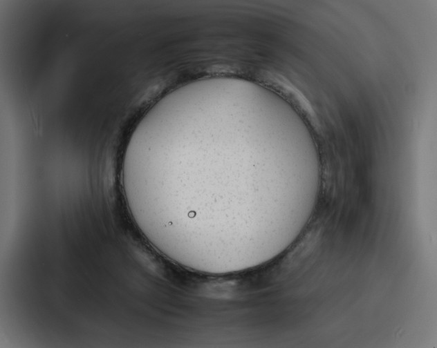 X0000087320257200705112143