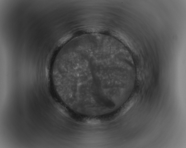 X0000087320258200705112143