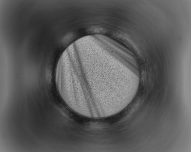 X0000087320259200705112143