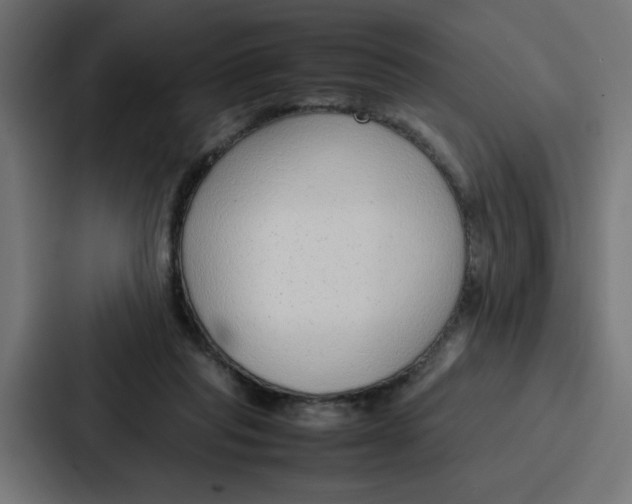 X0000087320261200705112143