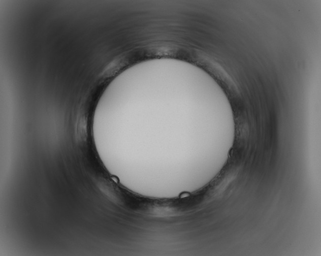 X0000087320262200705112143