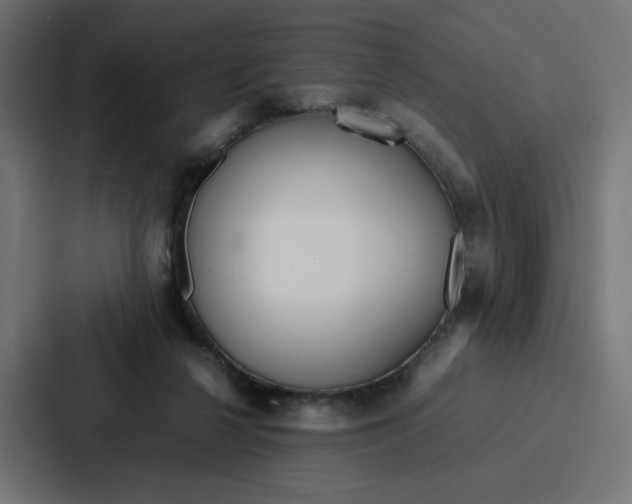 X0000087320264200705112143