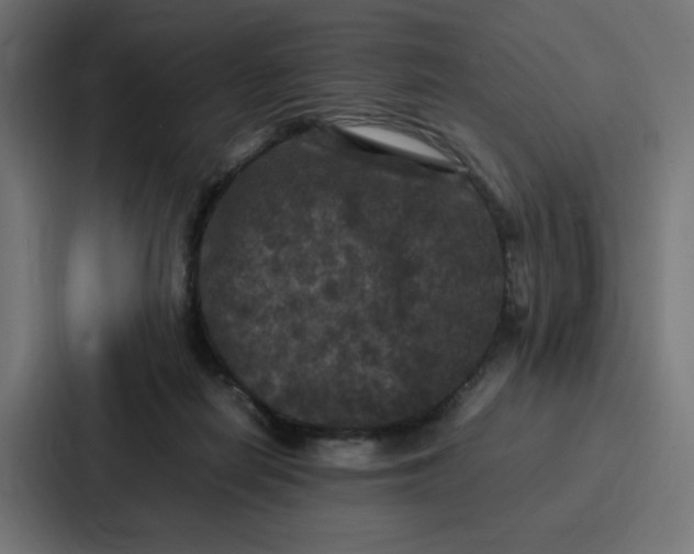 X0000087320266200705112143