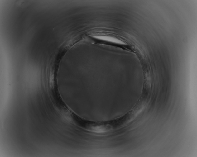 X0000087320267200705112143