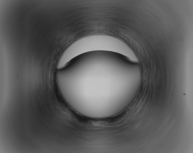 X0000087320268200705112143