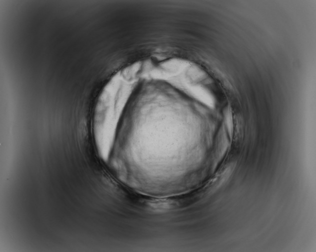 X0000087320269200705112143