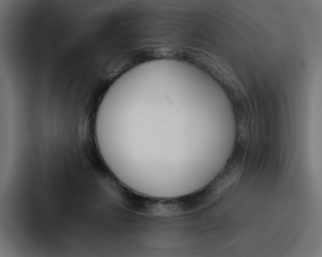 X0000087320270200705112143