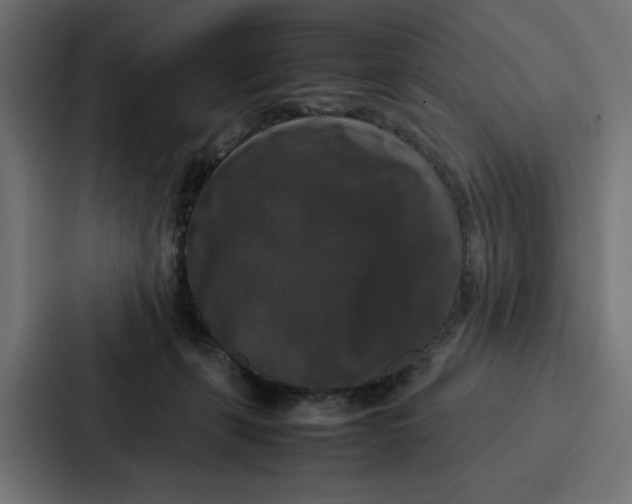 X0000087320271200705112143