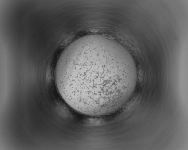 X0000087320272200705112143