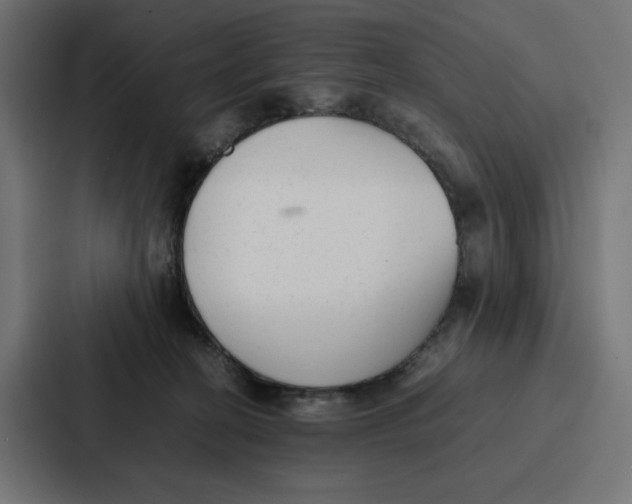 X0000087320274200705112143