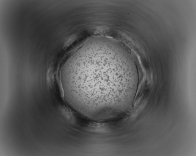 X0000087320276200705112143