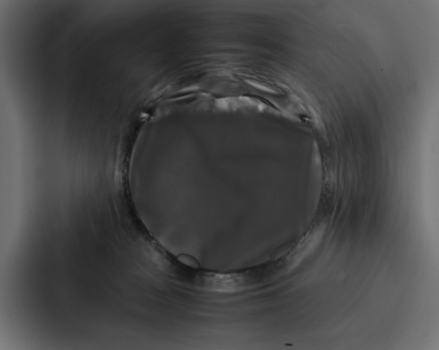 X0000087320277200705112143