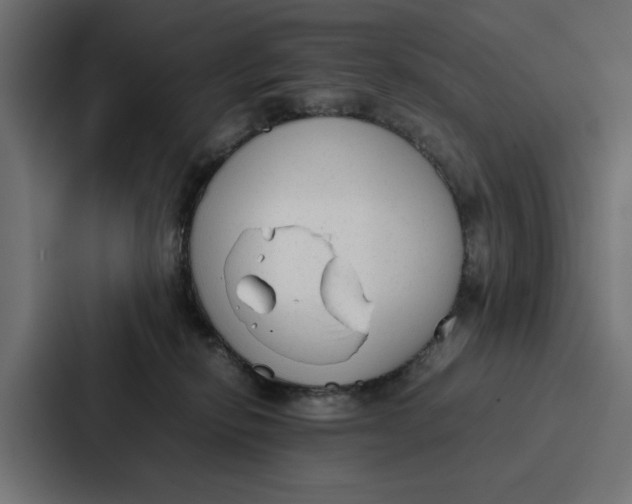 X0000087320278200705112143