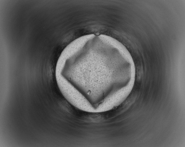 X0000087320279200705112143