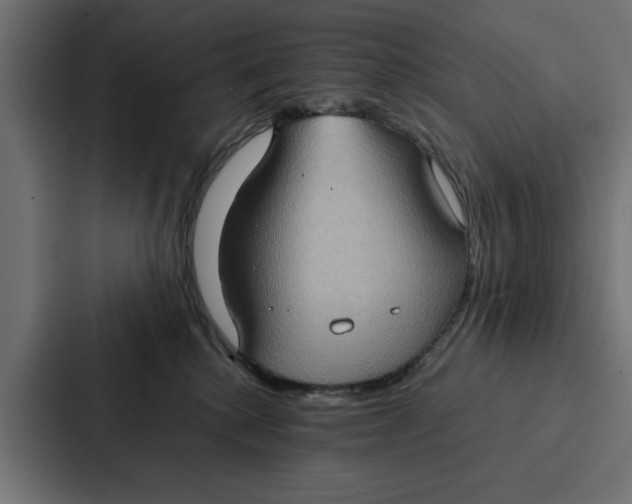 X0000087320280200705112143