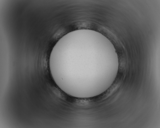 X0000087320282200705112143