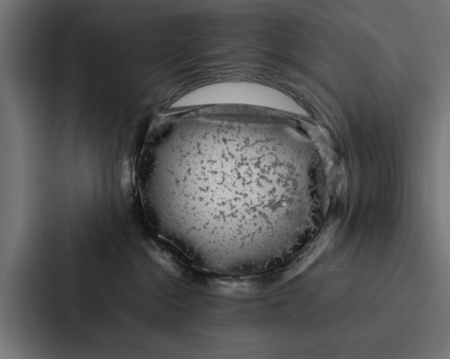 X0000087320284200705112143