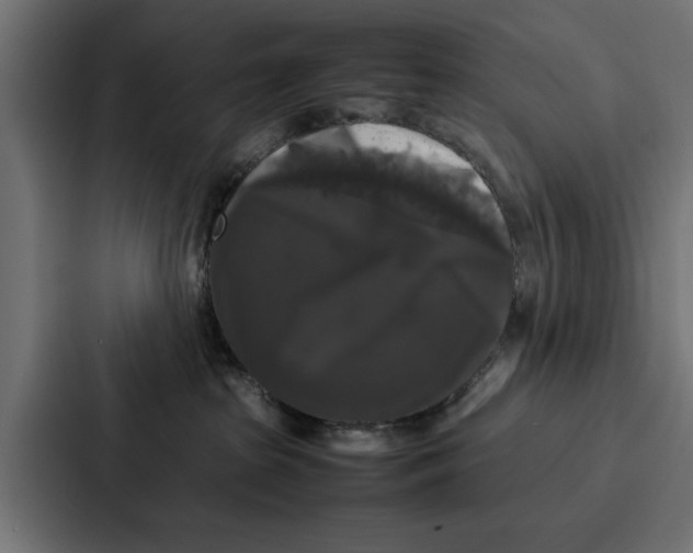 X0000087320285200705112143