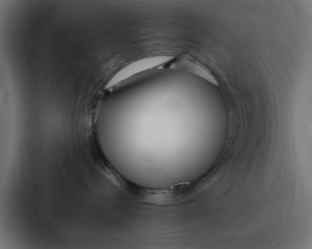 X0000087320288200705112143