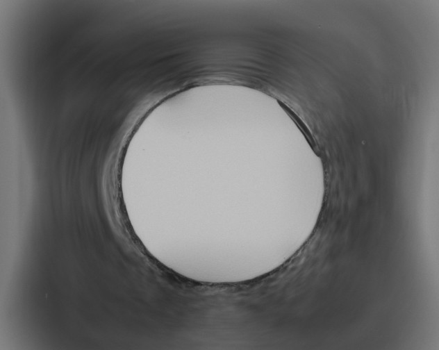 X0000087320289200705112142