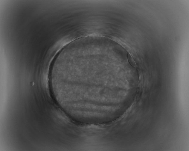 X0000087320290200705112142