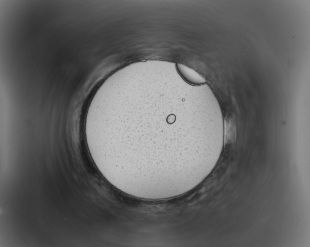 X0000087320291200705112142